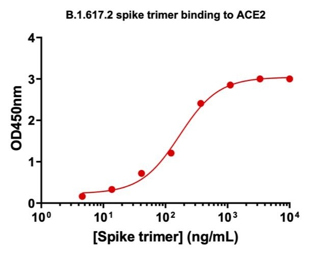 SARS-CoV-2 Delta Variant Recombinant Spike RBD His Tag-20