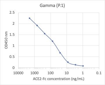 SARS-CoV-2 Gamma Variant Recombinant Spike RBD His Tag