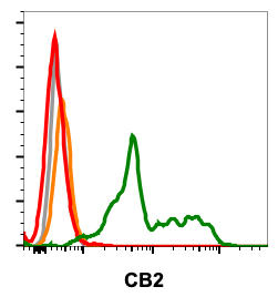 Cannabinoid receptor type 2 (CB2) rabbit mAb Antibody
