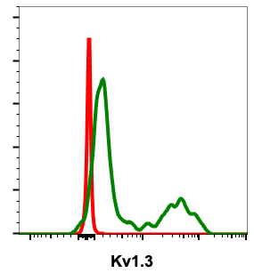 Kv1.3 (26B-R4-D9) rabbit mAb Antibody