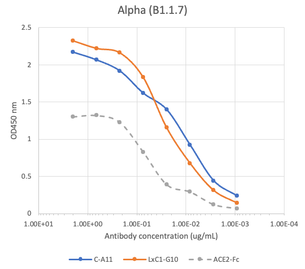 SARS-CoV2 LxC1-G10 human neutralizing mAb Antibody