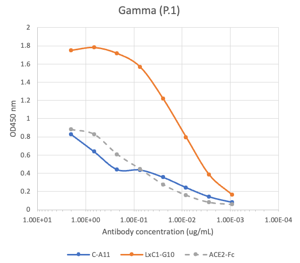 SARS-CoV2 LxC1-G10 human neutralizing mAb