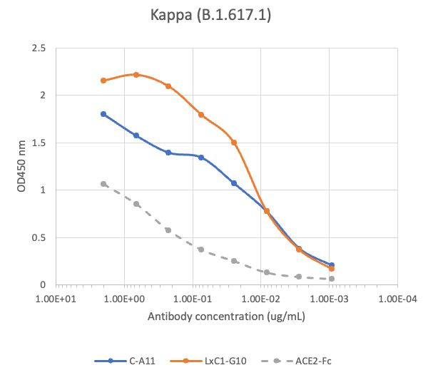 SARS-CoV2 LxC1-G10 human neutralizing mAb