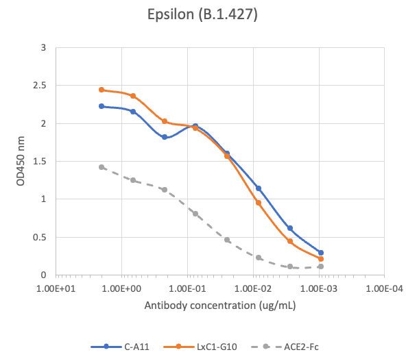 SARS-CoV2 LxC1-G10 human neutralizing mAb