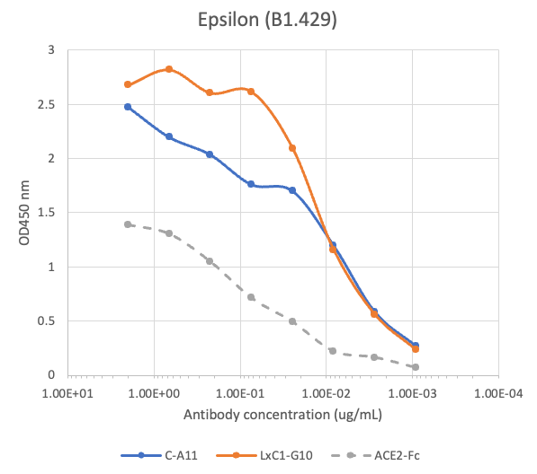 SARS-CoV2 LxC1-G10 human neutralizing mAb