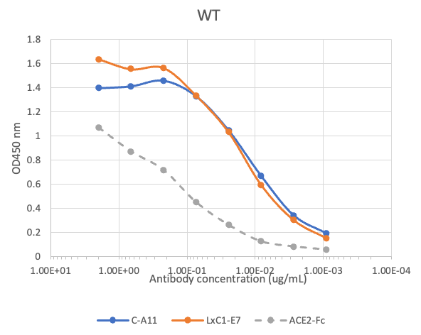 SARS-CoV2 LxC1-E7 human mAb