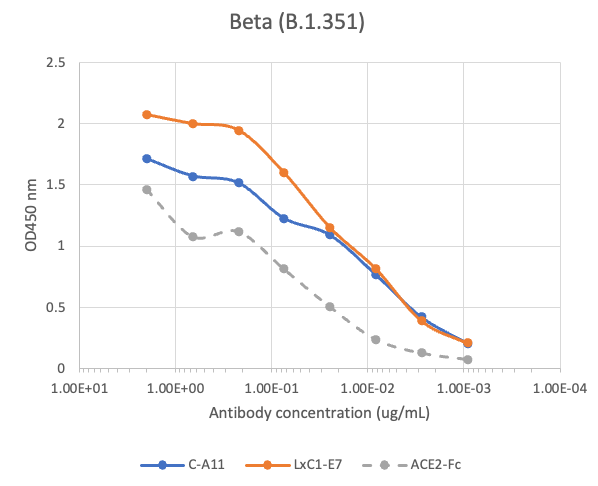 SARS-CoV2 LxC1-E7 human mAb