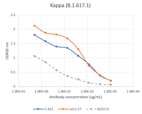 SARS-CoV2 LxC1-E7 human mAb