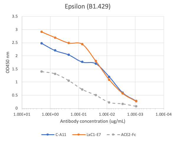 SARS-CoV2 LxC1-E7 human mAb