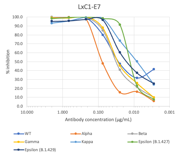 SARS-CoV2 LxC1-E7 human mAb Antibody