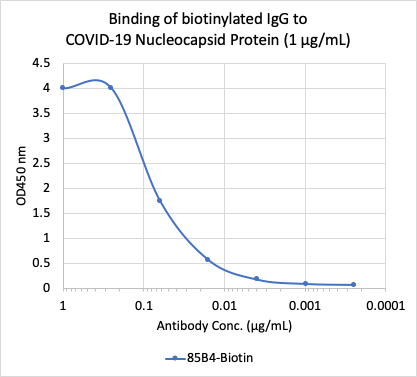 SARS-CoV-2 NP (85B4) rabbit mAb Biotin Conjugate