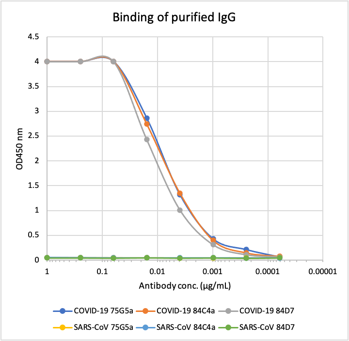 SARS-CoV-2 Nucleoprotein-20 uL