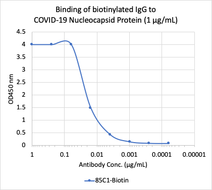 SARS-CoV-2 NP (85C1) rabbit mAb Biotin Conjugate