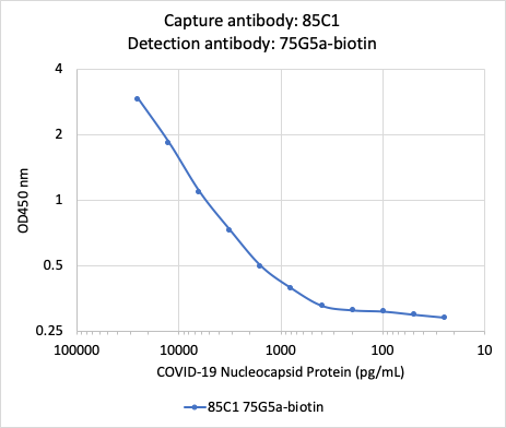 SARS-CoV-2 NP (85C1) rabbit mAb Antibody