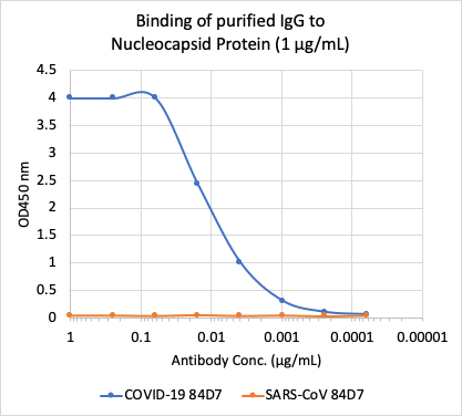 SARS-CoV-2 NP (84D7) rabbit mAb Antibody
