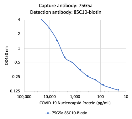 SARS-CoV-2 NP (75Ga) rabbit mAb