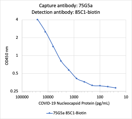 SARS-CoV-2 NP (75Ga) rabbit mAb