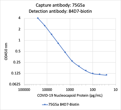 SARS-CoV-2 NP (75Ga) rabbit mAb
