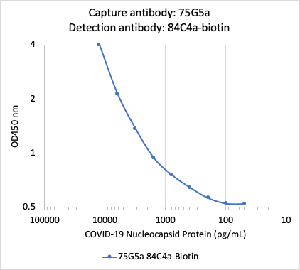 SARS-CoV-2 NP (75Ga) rabbit mAb