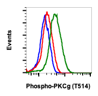 Phospho-PKC (pan) (gamma Thr514) (PF4) rabbit mAb
