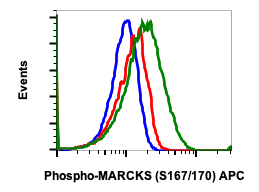 Phospho-MARCKS (Ser167/170) (C9) rabbit mAb FITC conjugate