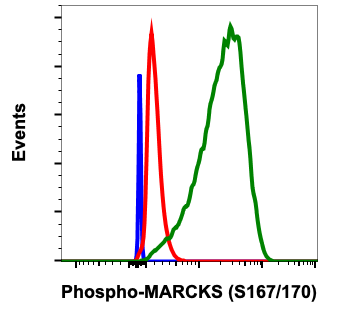 Phospho-MARCKS (Ser167/170) (C9) rabbit mAb