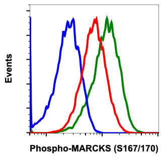 Phospho-MARCKS (Ser167/170) (C9) rabbit mAb Antibody