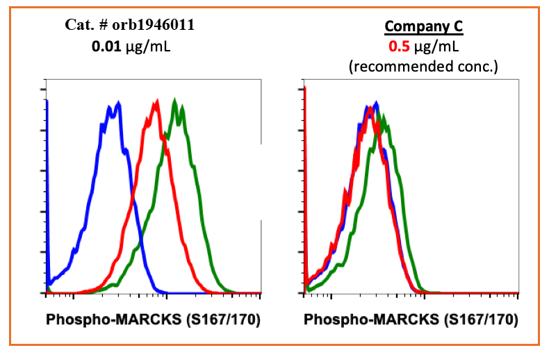 Phospho-MARCKS (Ser167/170) (C9) rabbit mAb Antibody