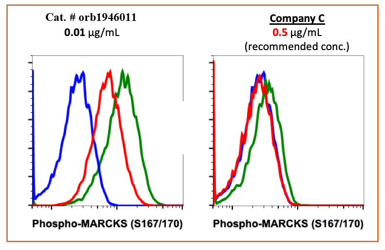 Phospho-MARCKS (Ser167/170) (C9) rabbit mAb