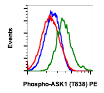 Phospho-Ask1 (Thr838) (8D12) rabbit mAb PE Conjugate