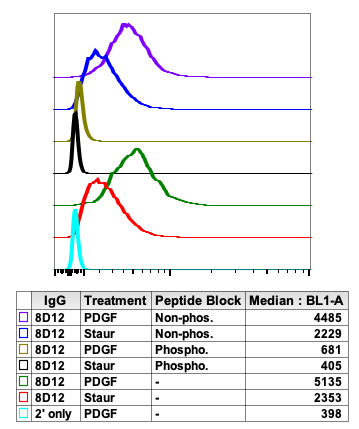 Phospho-Ask1 (Thr838) (8D12) rabbit mAb Antibody