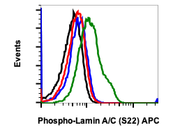 Phospho-Lamin A/C (Ser22) (CF12) rabbit mAb APC conjugate