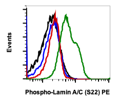 Phospho-Lamin A/C (Ser22) (CF12) rabbit mAb PE conjugate