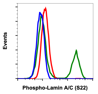Phospho-Lamin A/C (Ser22) (CF12) rabbit mAb