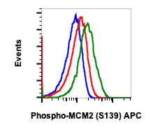 Phospho-MCM2 (Ser139) (B12) rabbit mAb APC conjugate
