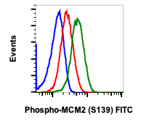 Phospho-MCM2 (Ser139) (B12) rabbit mAb FITC conjugate