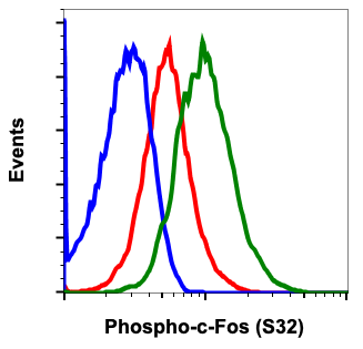 Phospho-c-Fos (Ser32) (BA9) rabbit mAb Antibody