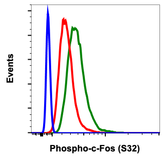 Phospho-c-Fos (Ser32) (BA9) rabbit mAb Antibody