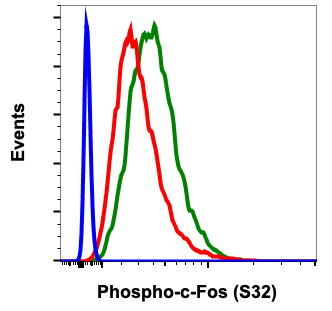 Phospho-c-Fos (Ser32) (BA9) rabbit mAb Antibody
