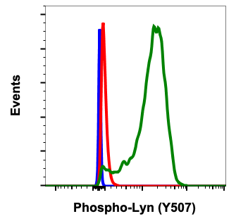 Phospho-Lyn (Tyr507) (5B6) rabbit mAb Antibody