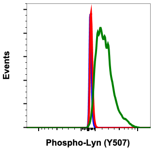 Phospho-Lyn (Tyr507) (5B6) rabbit mAb Antibody