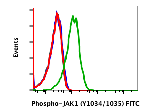 Phospho-Jak1 (Tyr1034/1035) (F11) rabbit mAb FITC Conjugate