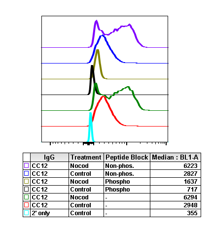 Phospho-Aurora A (Thr288)/Aurora B (Thr232)/Aurora C (Thr198) (CC12) rabbit mAb