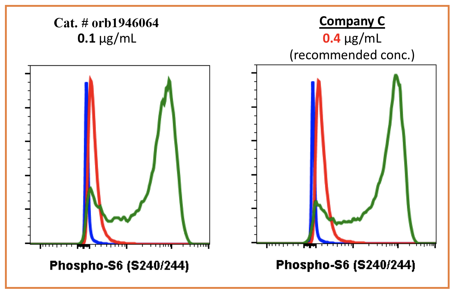 Phospho-S6-Ribosomal Protein (Ser240/244) (CD10) rabbit mAb