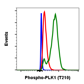 Phospho-PLK1 (Thr210) (C2) rabbit mAb Antibody