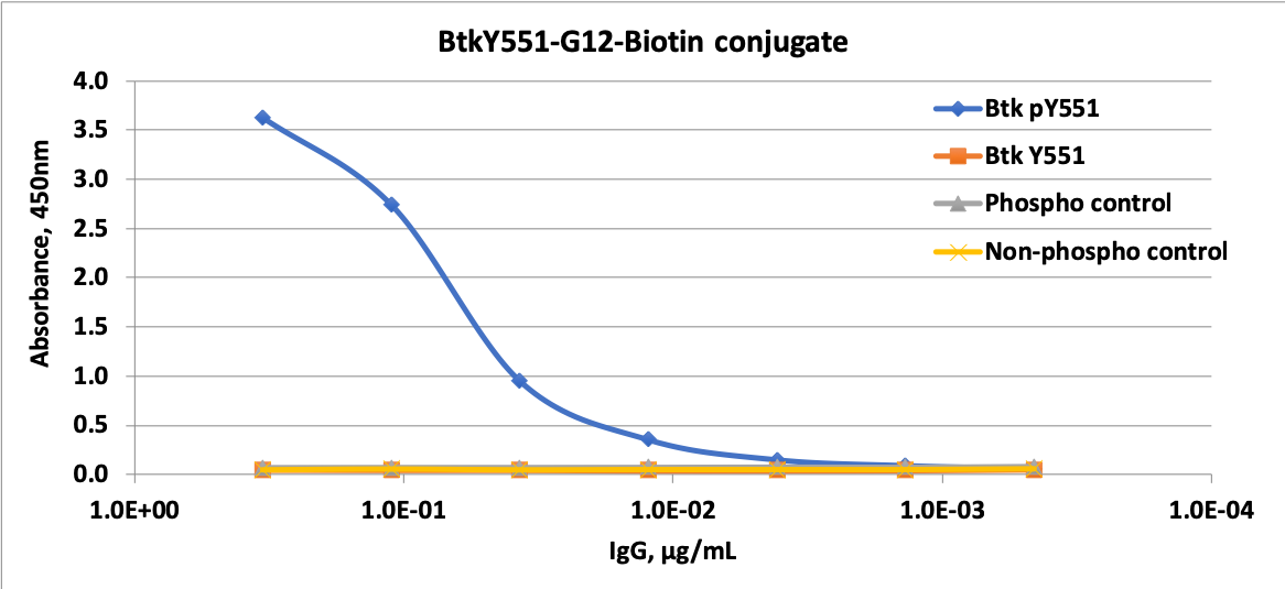 Phospho-Btk (Tyr551) (G12) rabbit mAb Biotin conjugate Antibody