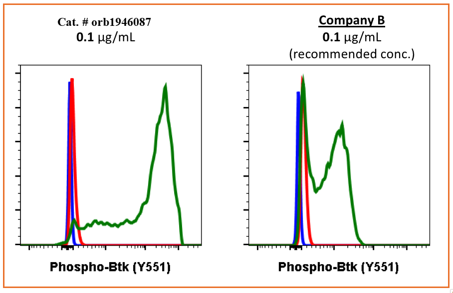 Phospho-Btk (Tyr551) (G12) rabbit mAb Antibody