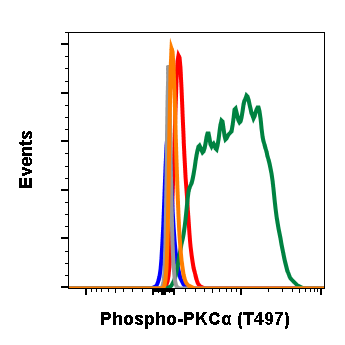 Phospho-PKCa (Thr497) (F1) rabbit mAb Antibody