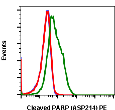 Cleaved PARP (Asp214) (H8) rabbit mAb PE conjugate Antibody