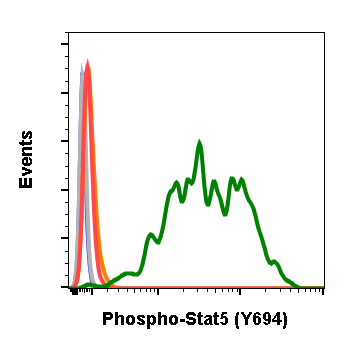 Phospho-Stat5 (Tyr694) (G11) rabbit mAb Antibody